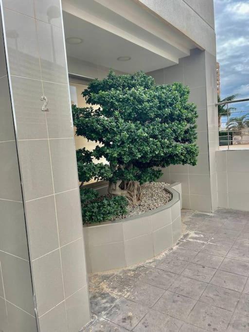 Enjoy Apartment Aparcamiento 5 Min De La Playa Calpe Exteriör bild